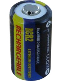 Batterie pour CONTAX G2
